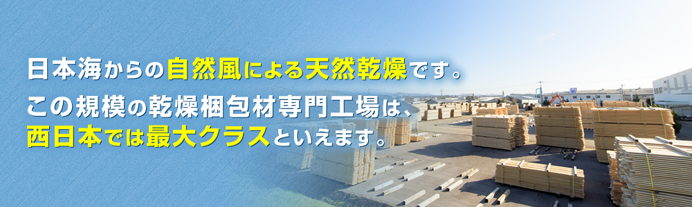 日本海からの自然風による天然乾燥です。この規模の乾燥梱包材専門工場は、西日本では最大クラスといえます。