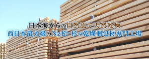 日本海からの自然風で天然乾燥西日本最大級のNz松･杉の乾燥梱包材専門工場